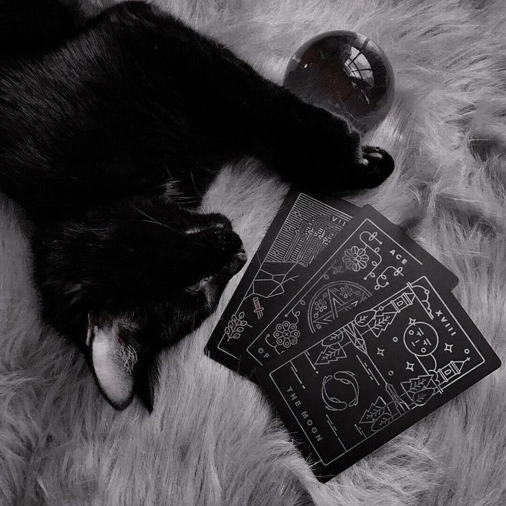 Chat noir allongé près d'une boule de cristal et de trois cartes de tarot noires